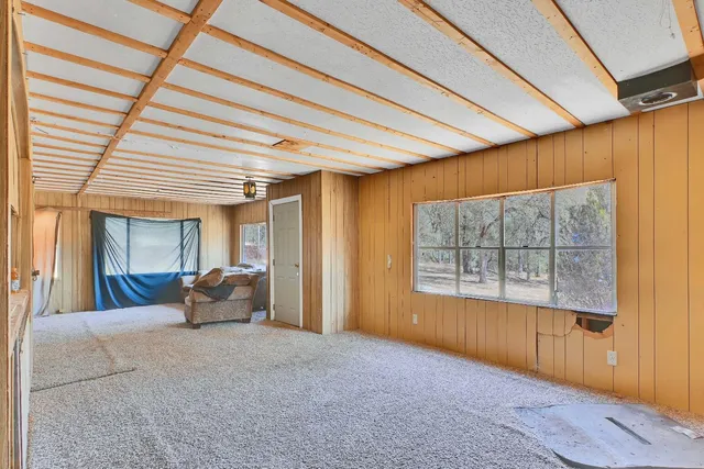 a view of dirt yard and a large tree