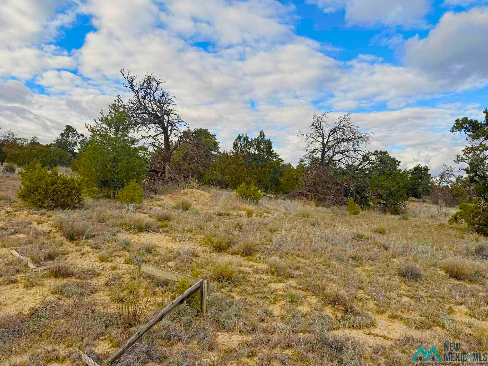 98 Great White Father Road Ramah, NM 87357 - Photo 11 of 16