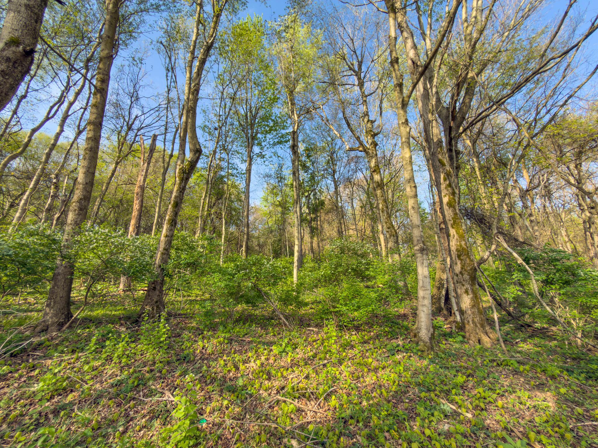 9874 Cincinnati-Zanesville Road Southwest Amanda, OH 43102 - Photo 21 of 50 cinci-zane rd sw-21