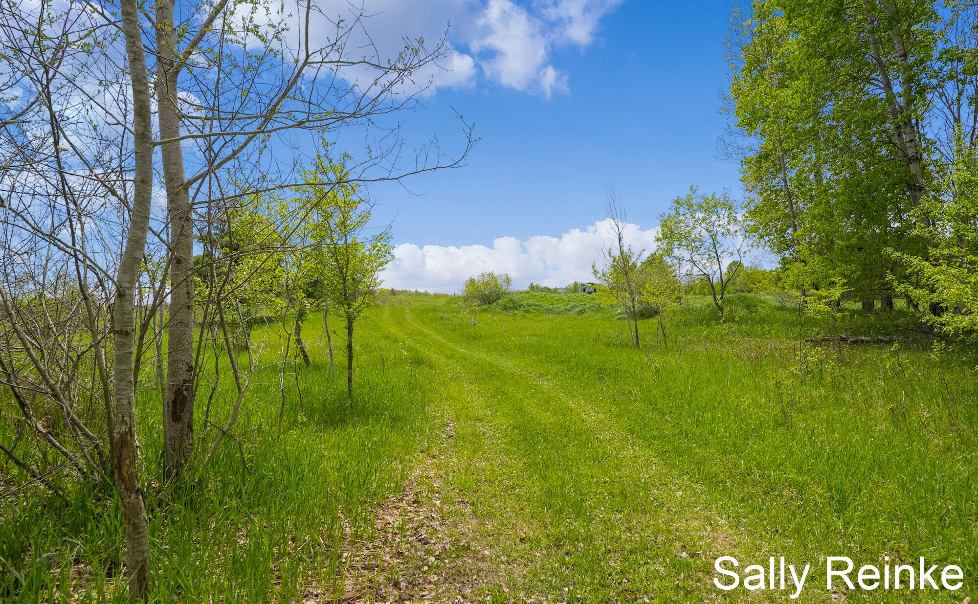9 9 Mile Road Reed City, MI 49677 - Photo 2 of 31 _CR_0643