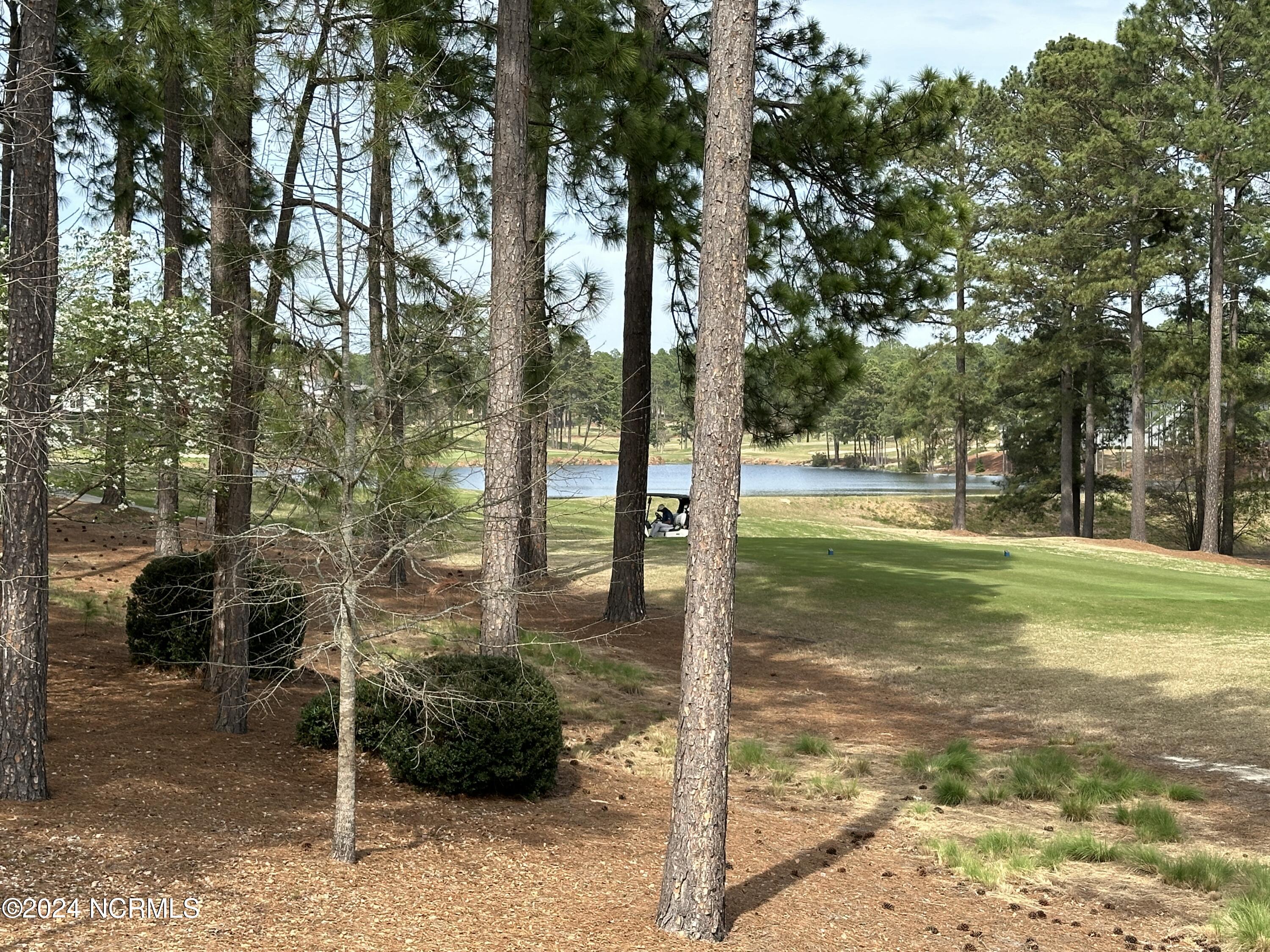 4 Masters Ridge Place Southern Pines, NC 28387 - Photo 41 of 47 IMG_6684