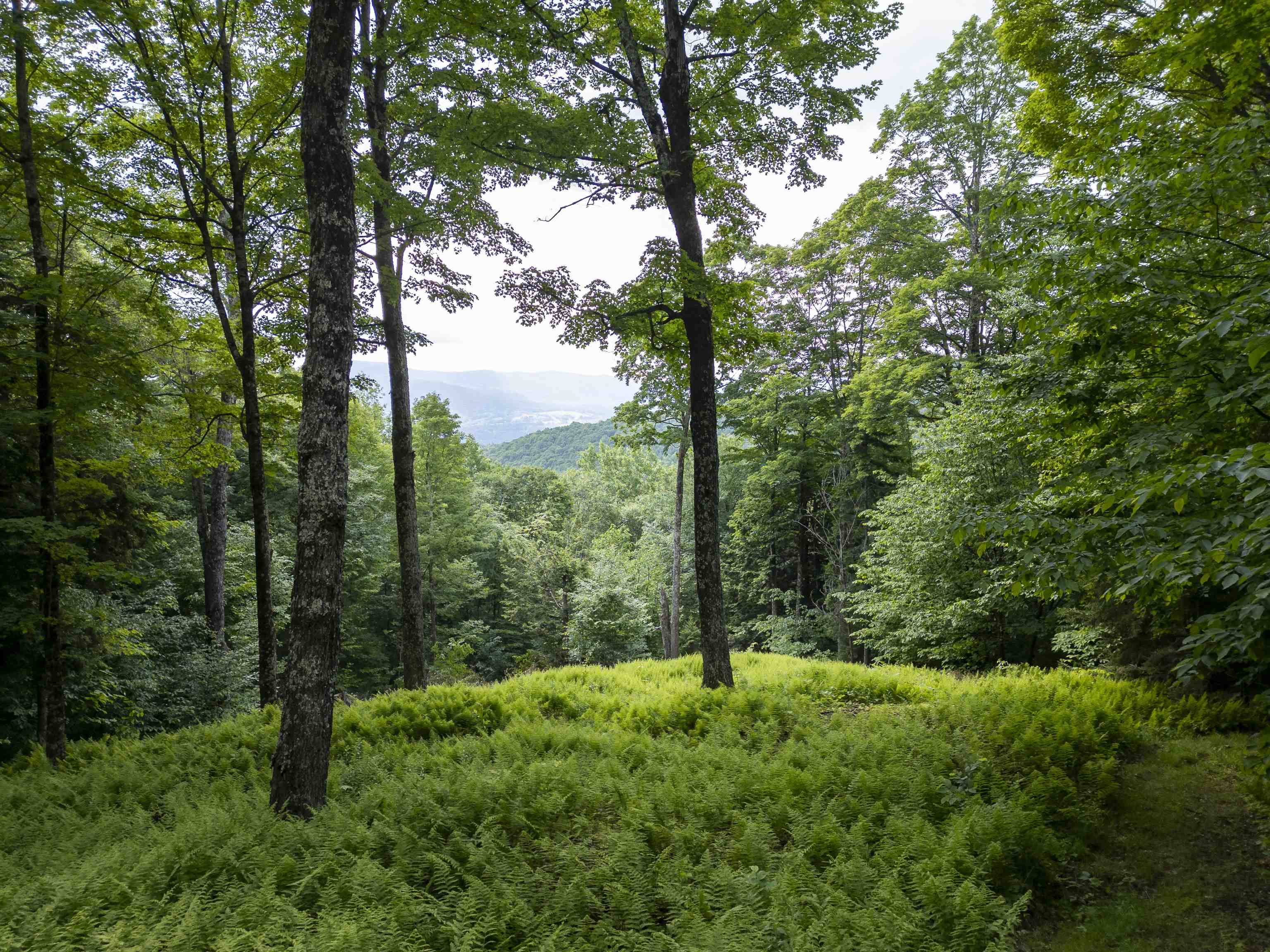 North Fayston Road Moretown, VT 05660 - Photo 3 of 39
