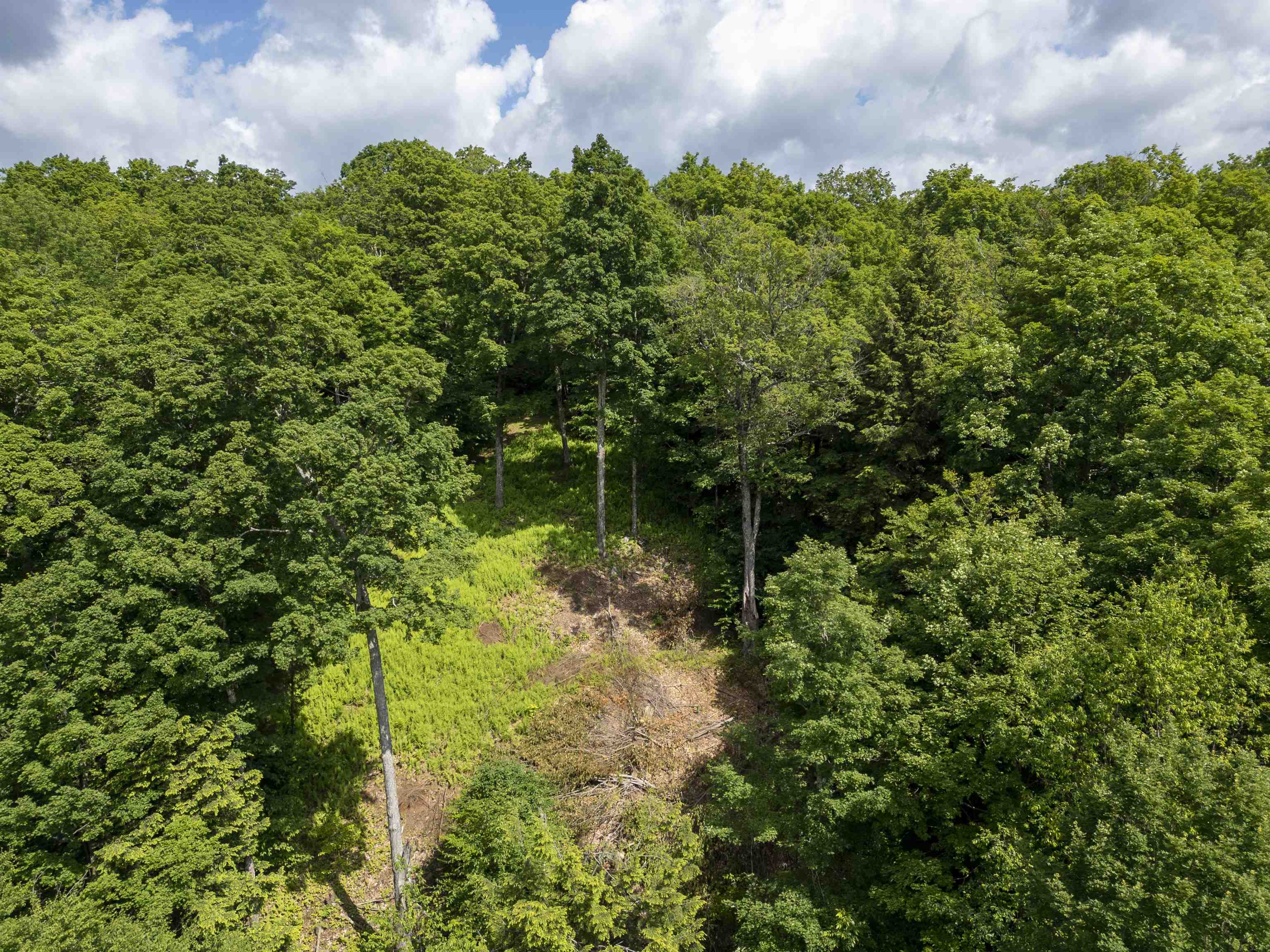 North Fayston Road Moretown, VT 05660 - Photo 5 of 39