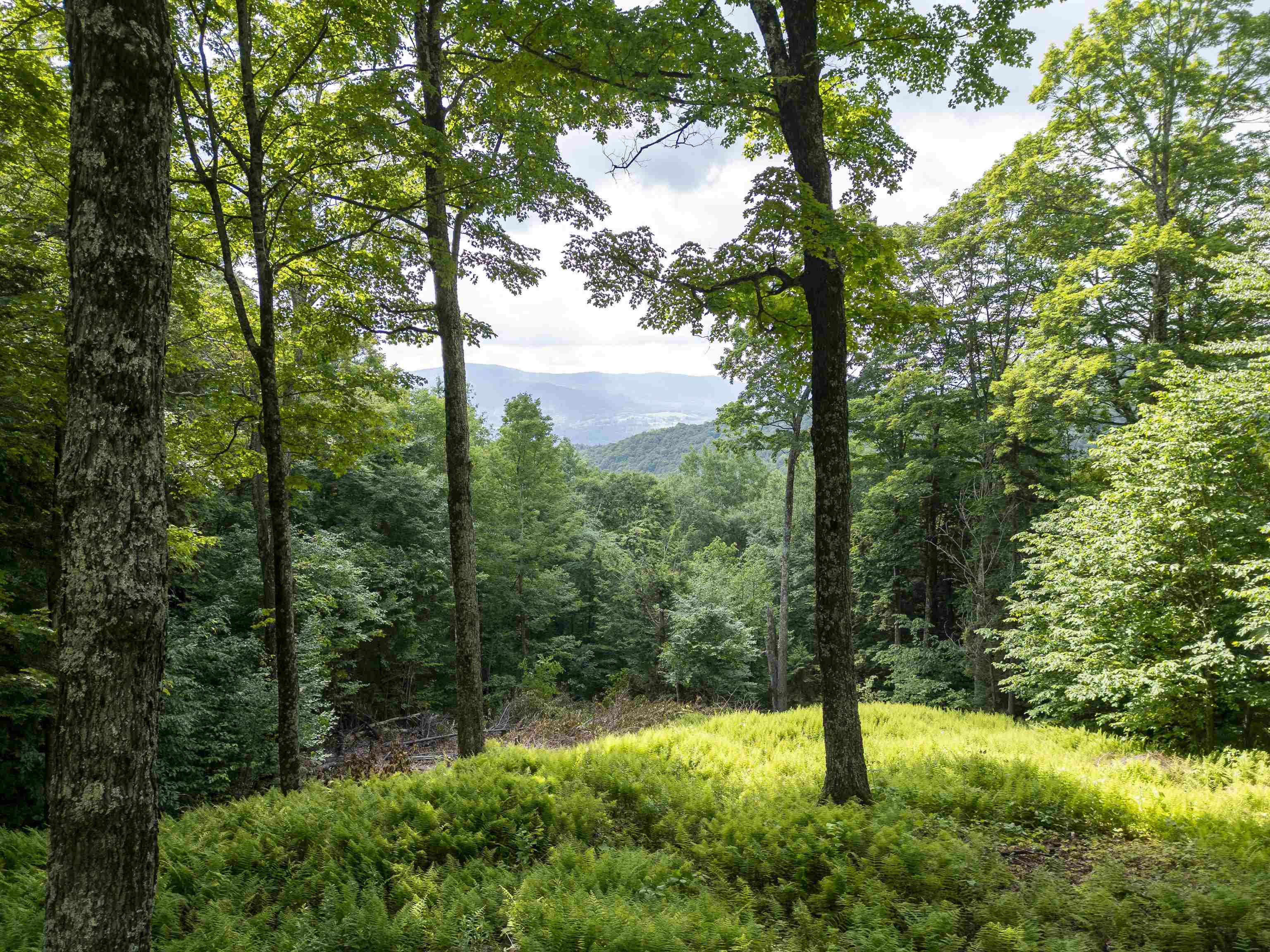 North Fayston Road Moretown, VT 05660 - Photo 9 of 39