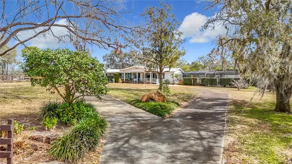 a view of yard with large trees
