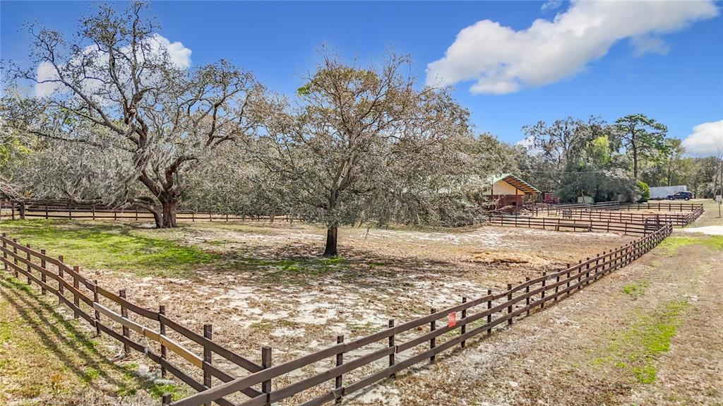 9971 Thaxton Street Weeki Wachee, FL 34613 - Photo 75 of 92