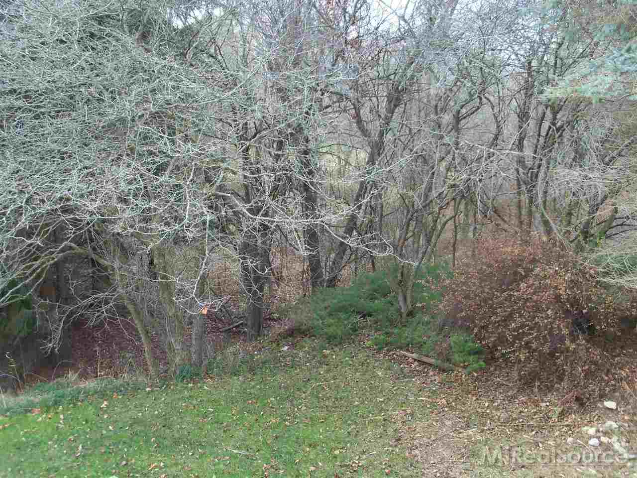 5310 East Shabbona Road Deckerville, MI 48427 - Photo 9 of 35 31222377-8.JPG