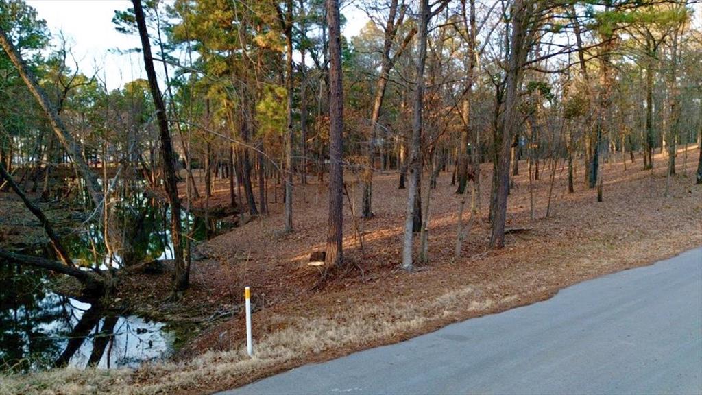 Tbd Hickory Trail, Unit 11D) Flint, TX 75762 - Photo 2 of 5
