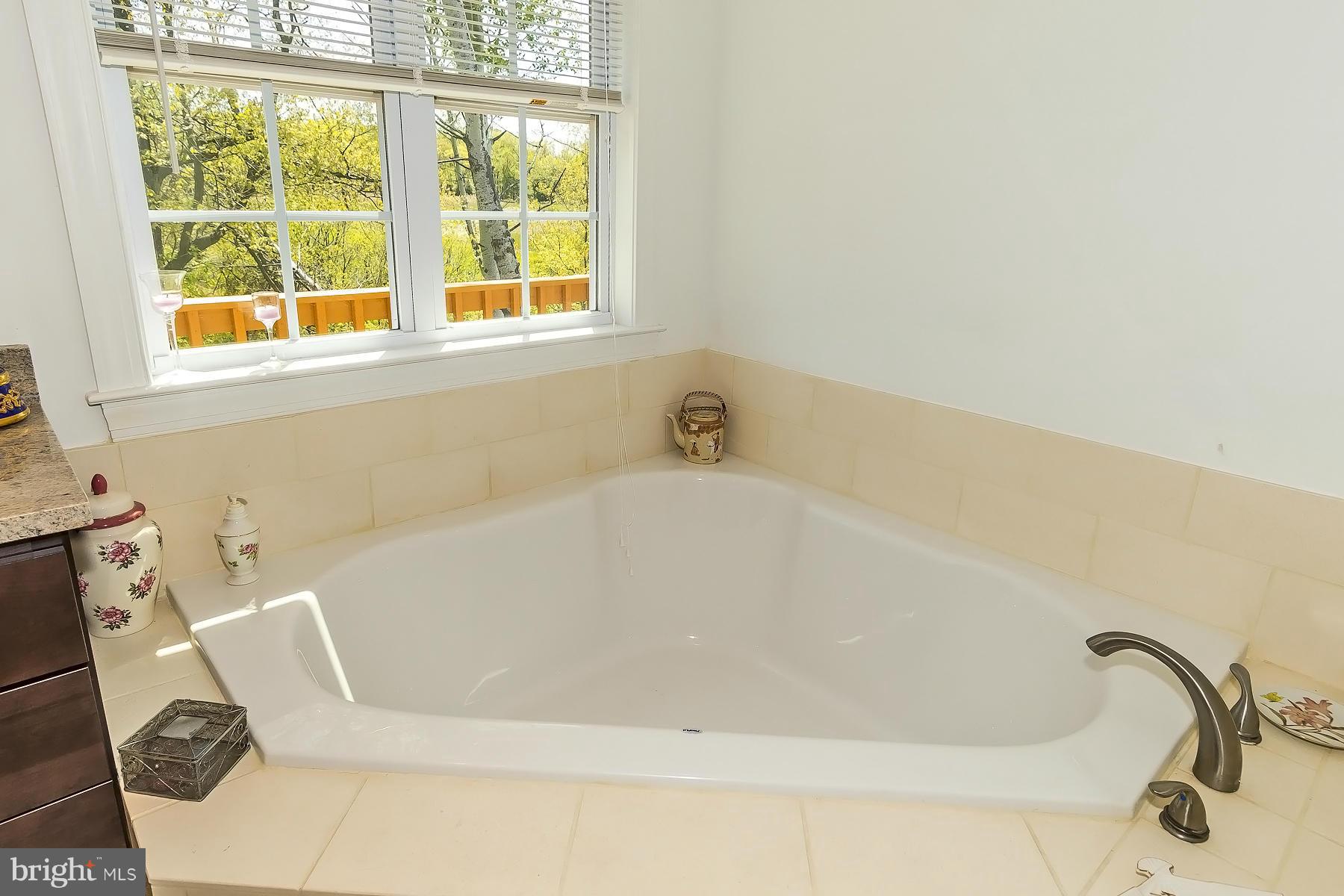 4837 Avery Road Shady Side, MD 20764 - Photo 14 of 27 Bath (Master)