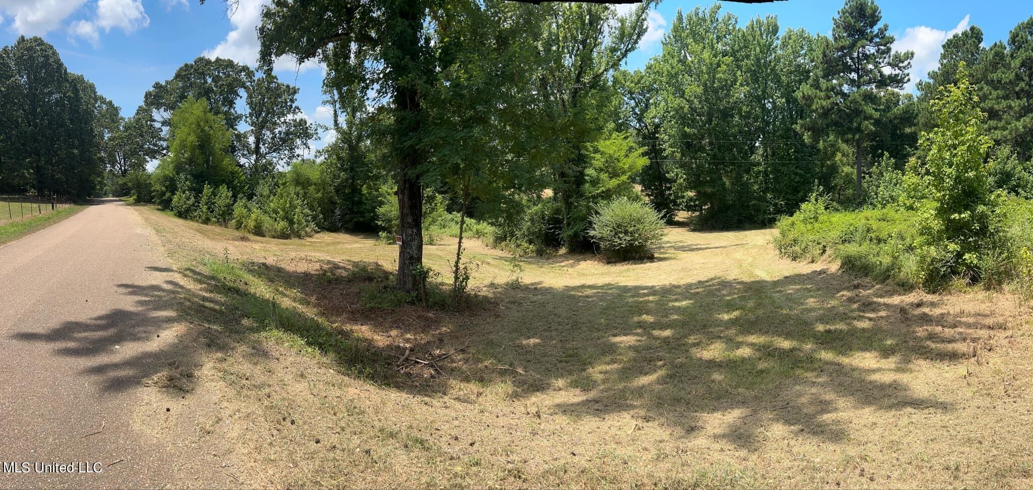 5461 Crawford Road Hernando, MS 38632 - Photo 5 of 6 Crawford rd view