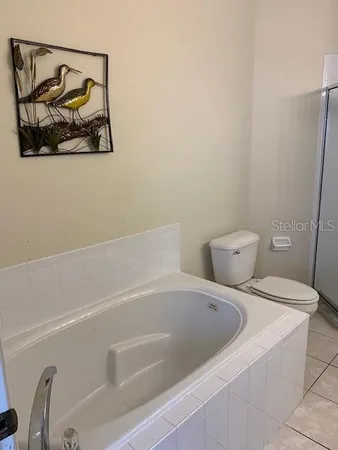 a bathroom with a bathtub and a toilet