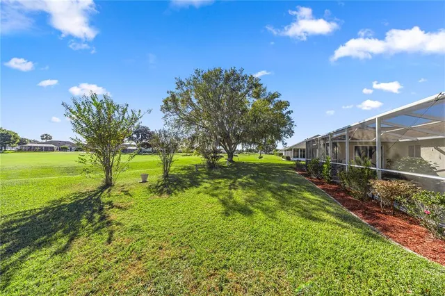 a garden with lots of trees