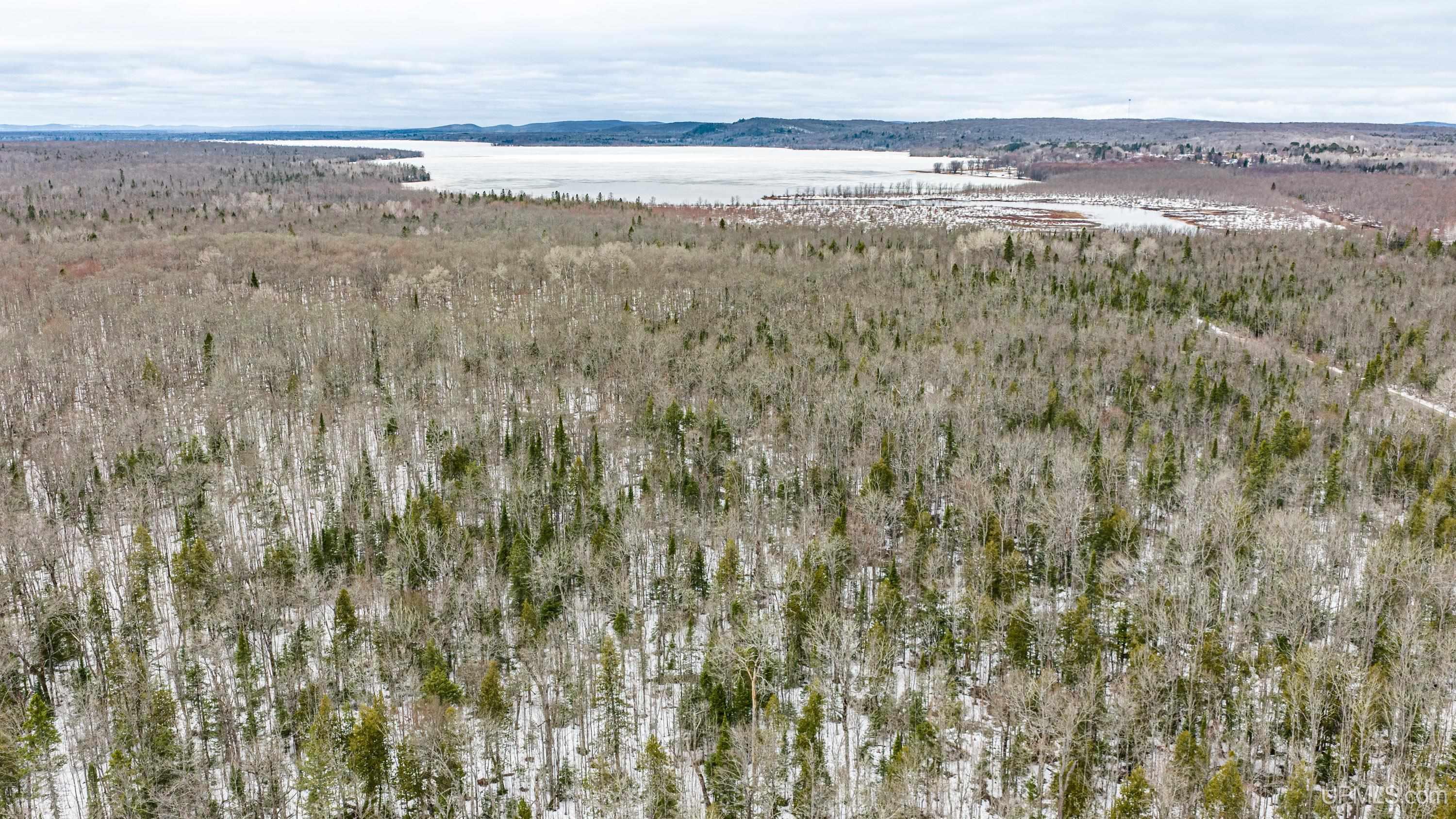 Tbd38 East Shore Road Bergland, MI 49910 - Photo 7 of 39
