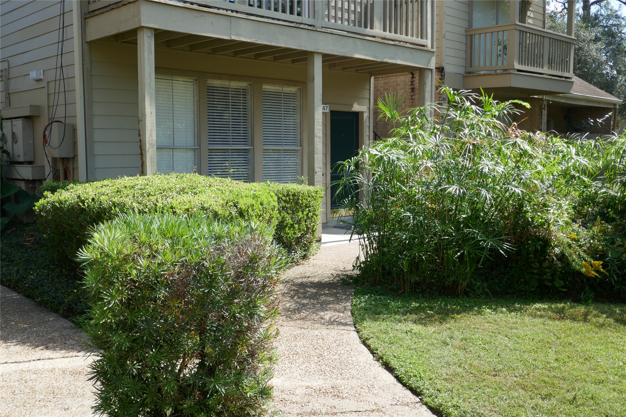 2100 Tanglewilde Street, Unit 347 Houston, TX 77063 - Photo 2 of 19 a view of a backyard with potted plants
