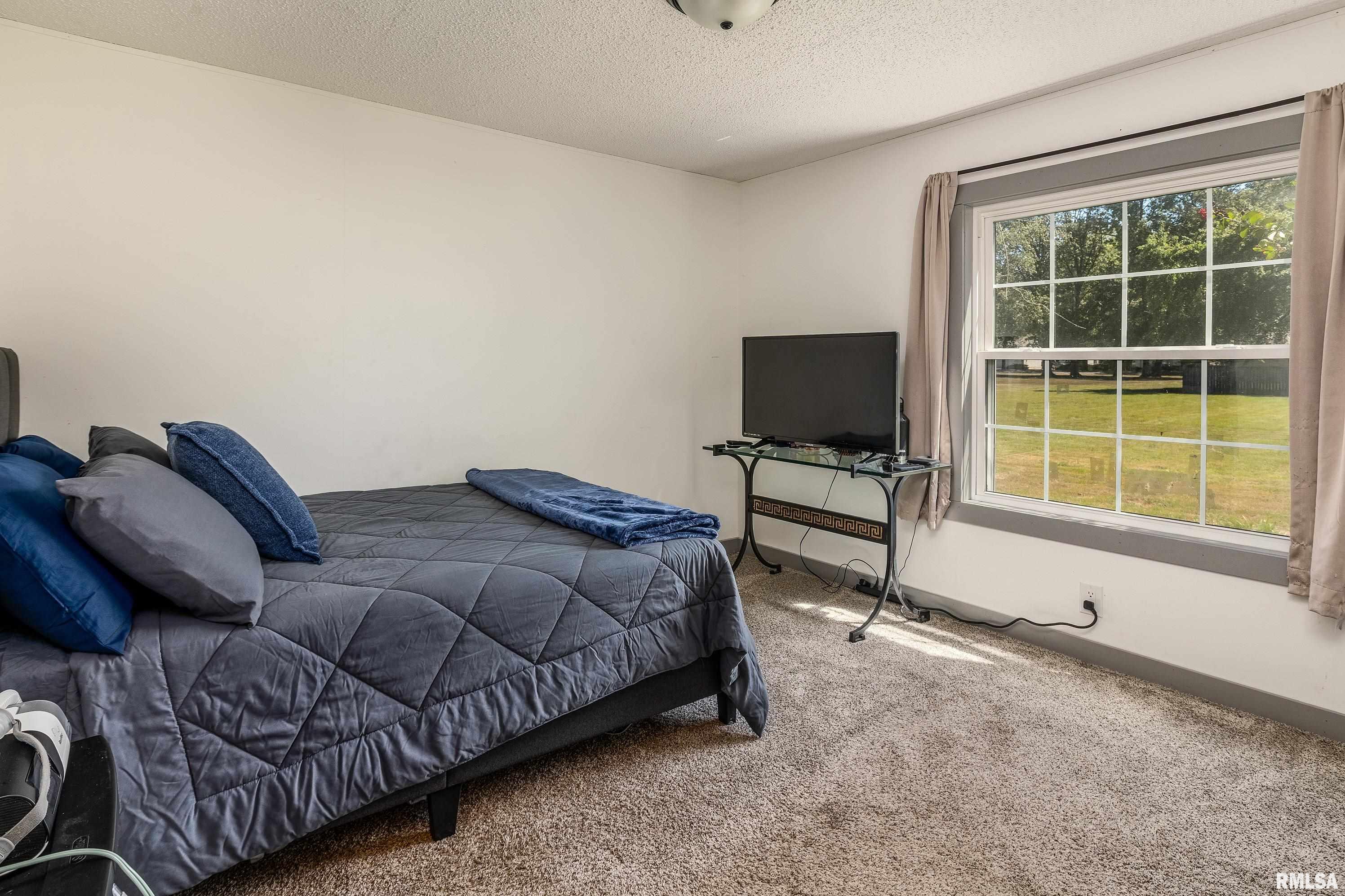 501 Tower Road Herrin, IL 62948 - Photo 16 of 27