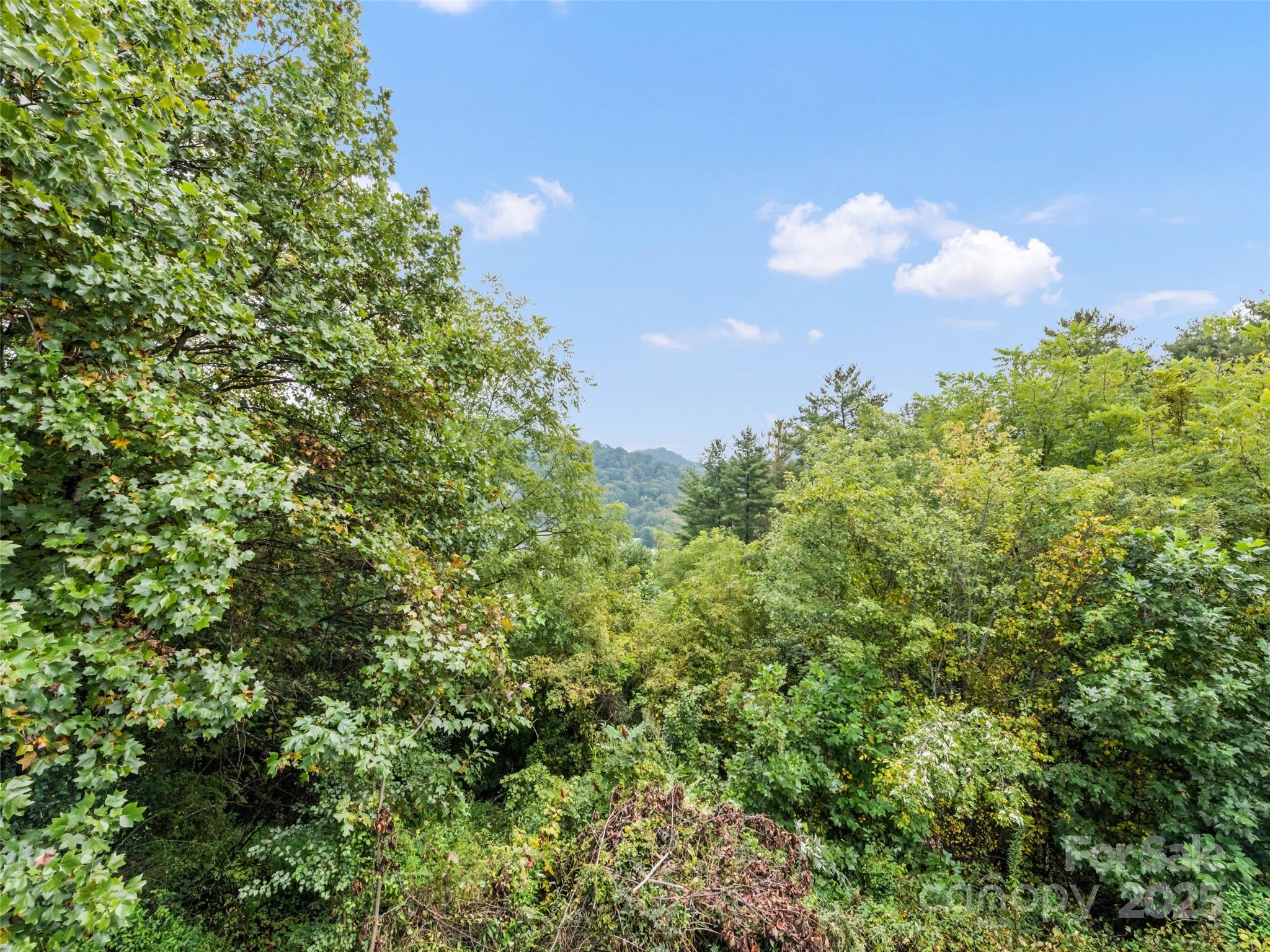 120 Simonds Ridge Canton, NC 28716 - Photo 12 of 36 a view of a bunch of trees