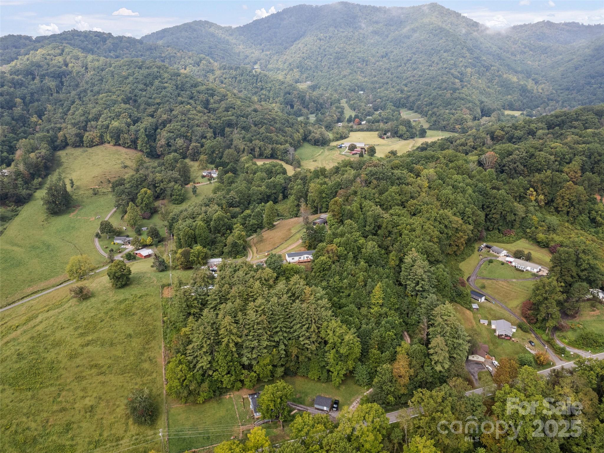 120 Simonds Ridge Canton, NC 28716 - Photo 35 of 36 a view of a houses with a lush green hillside