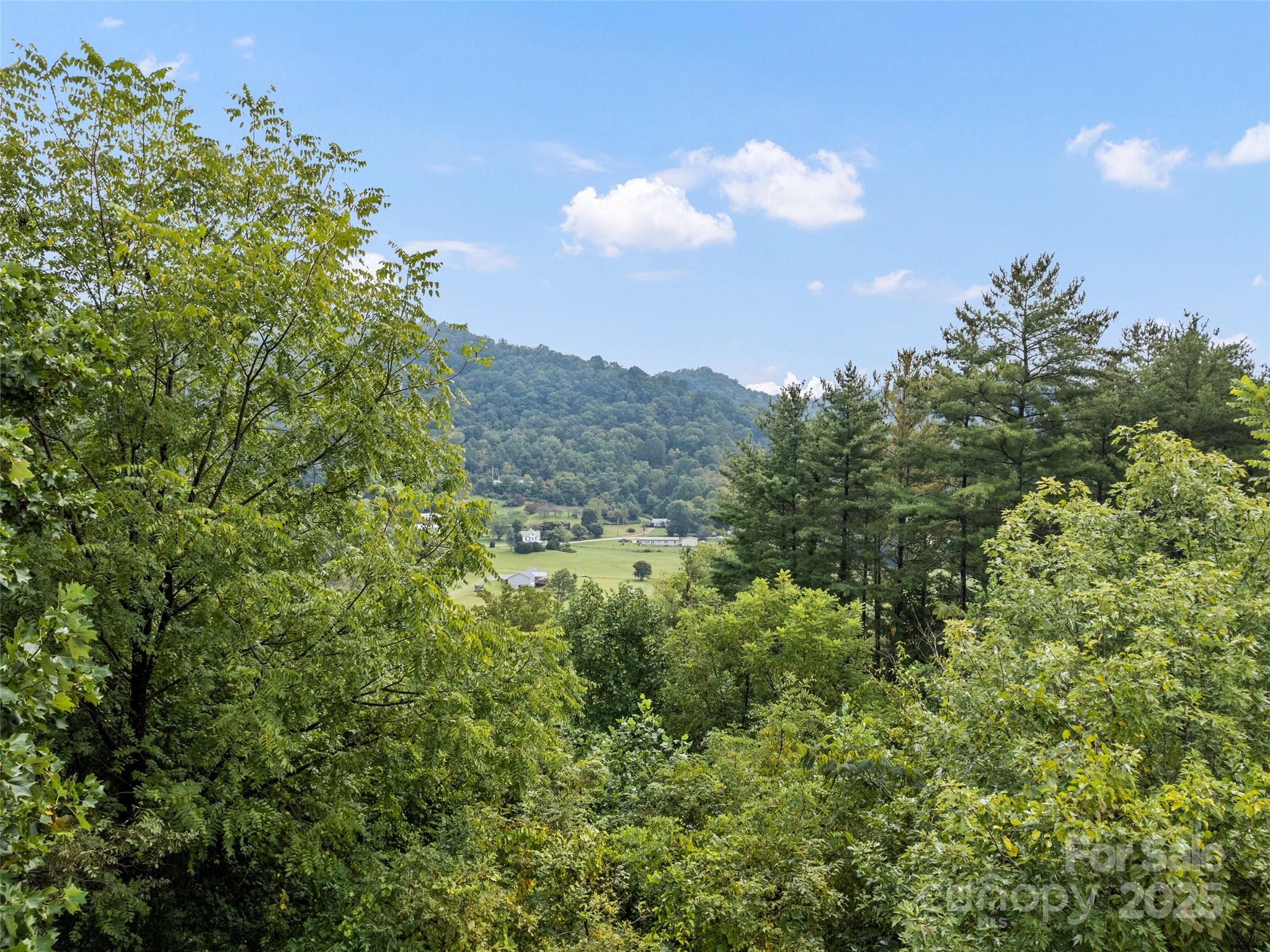 120 Simonds Ridge Canton, NC 28716 - Photo 8 of 36 a view of a city