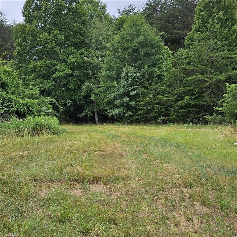 2025 Lace Knoll Road East Bend, NC 27018 - Photo 41 of 42