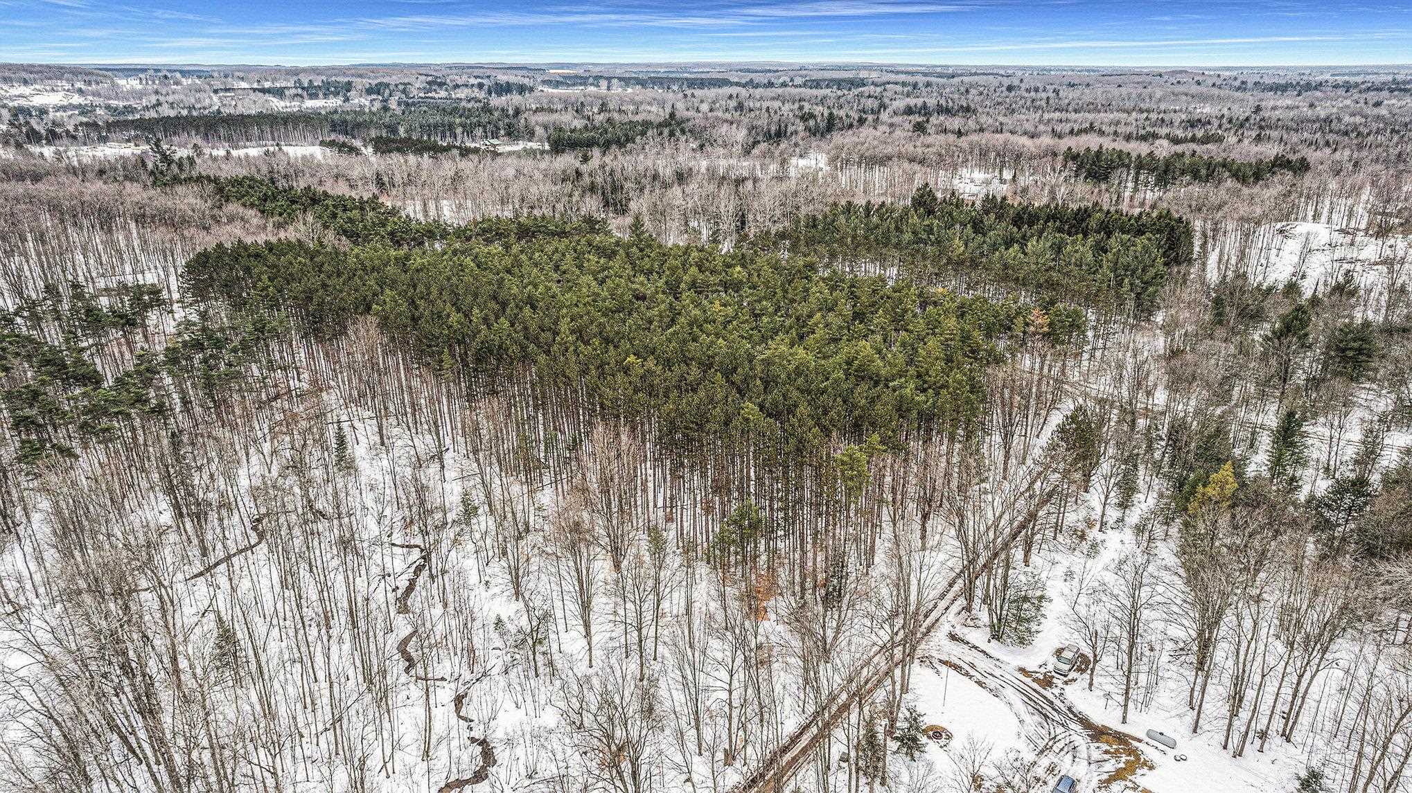 5 D Preston Road Northeast Kalkaska, MI 49646 - Photo 3 of 6