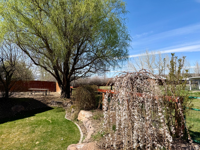 202 375 West Providence, UT 84332 - Photo 36 of 61 Thoughtful landscaping of fenced backyard