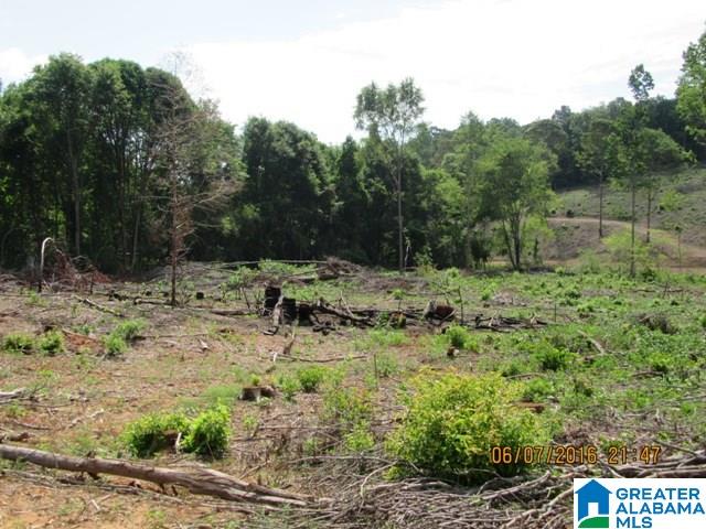 550 Davis Acres Drive, Unit 15 Alpine, AL 35014 - Photo 7 of 48
