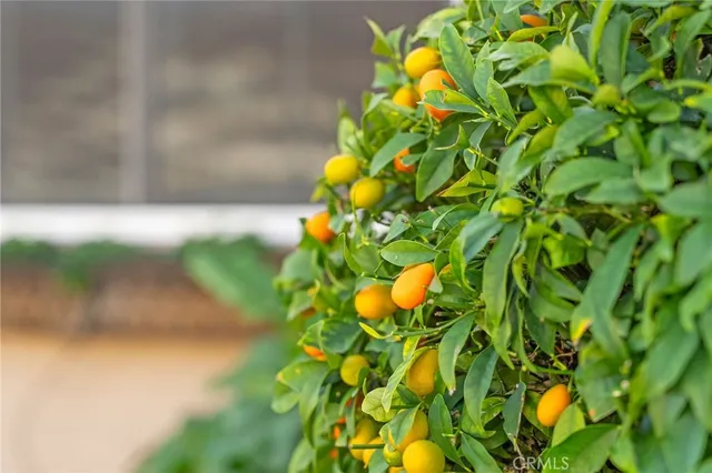 $799,999 | 27665 Bottle Brush Way, Murrieta, CA 92562