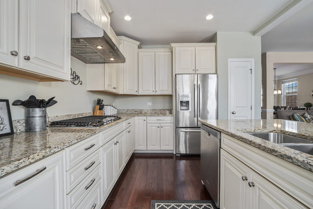 1244 Falcon Ridge Drive Elgin, IL 60124 - Photo 5 of 23 a kitchen with stainless steel appliances granite countertop a sink stove and refrigerator