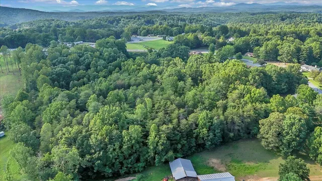 a view of a lush green forest with a lake