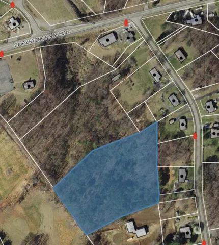 a view of a lush green forest with lots of trees