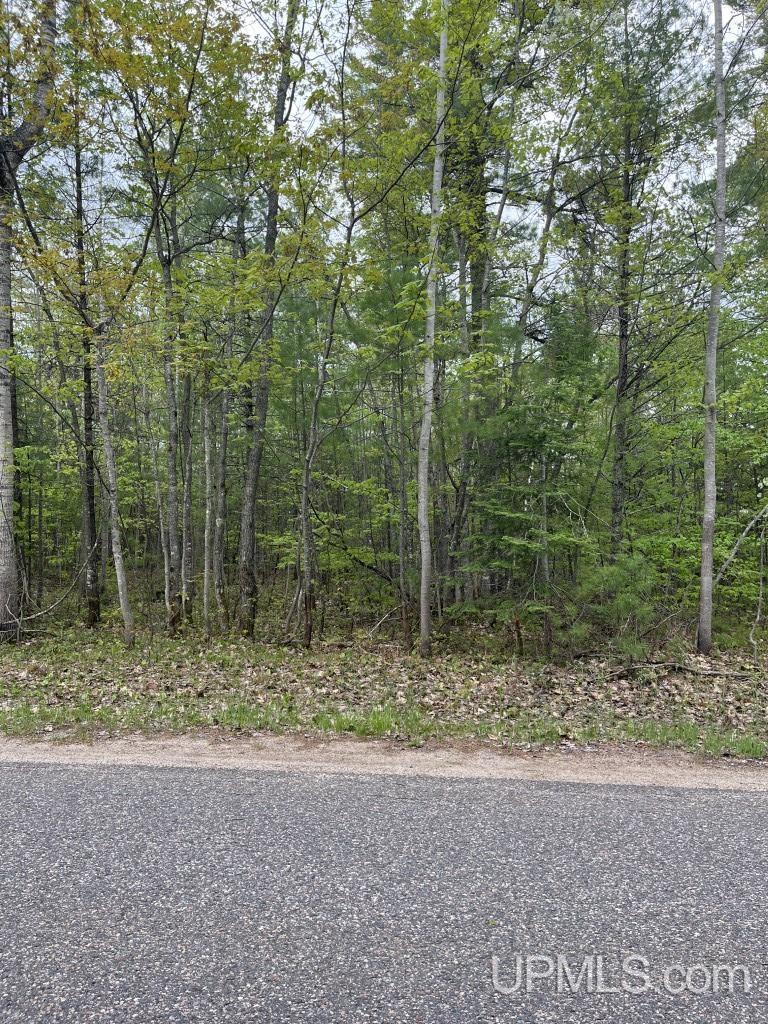 Lot 7 Powell Lake Road Wetmore, MI 49895 - Photo 4 of 16