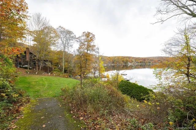 a view of a yard with a tree