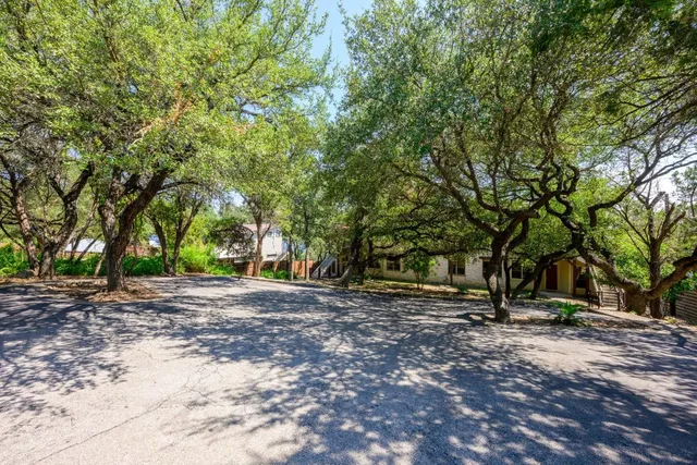 a view of a tree in the middle of a yard