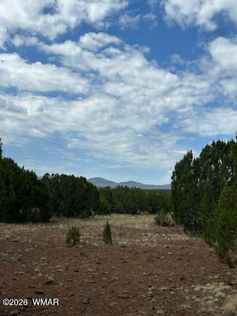 N3109 Rd Vernon Az 85940 Road Vernon, AZ 85940 - Photo 12 of 17