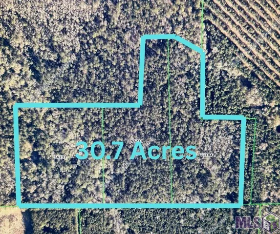 $300,000 | Tbd Whit Road, Bogalusa, LA 70427