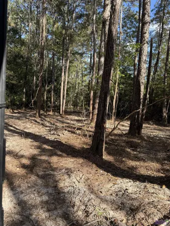 $300,000 | Tbd Whit Road, Bogalusa, LA 70427