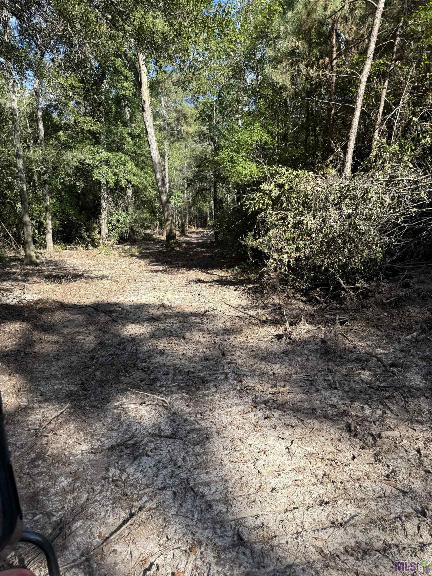 Tbd Whit Road Bogalusa, LA 70427 - Photo 3 of 3