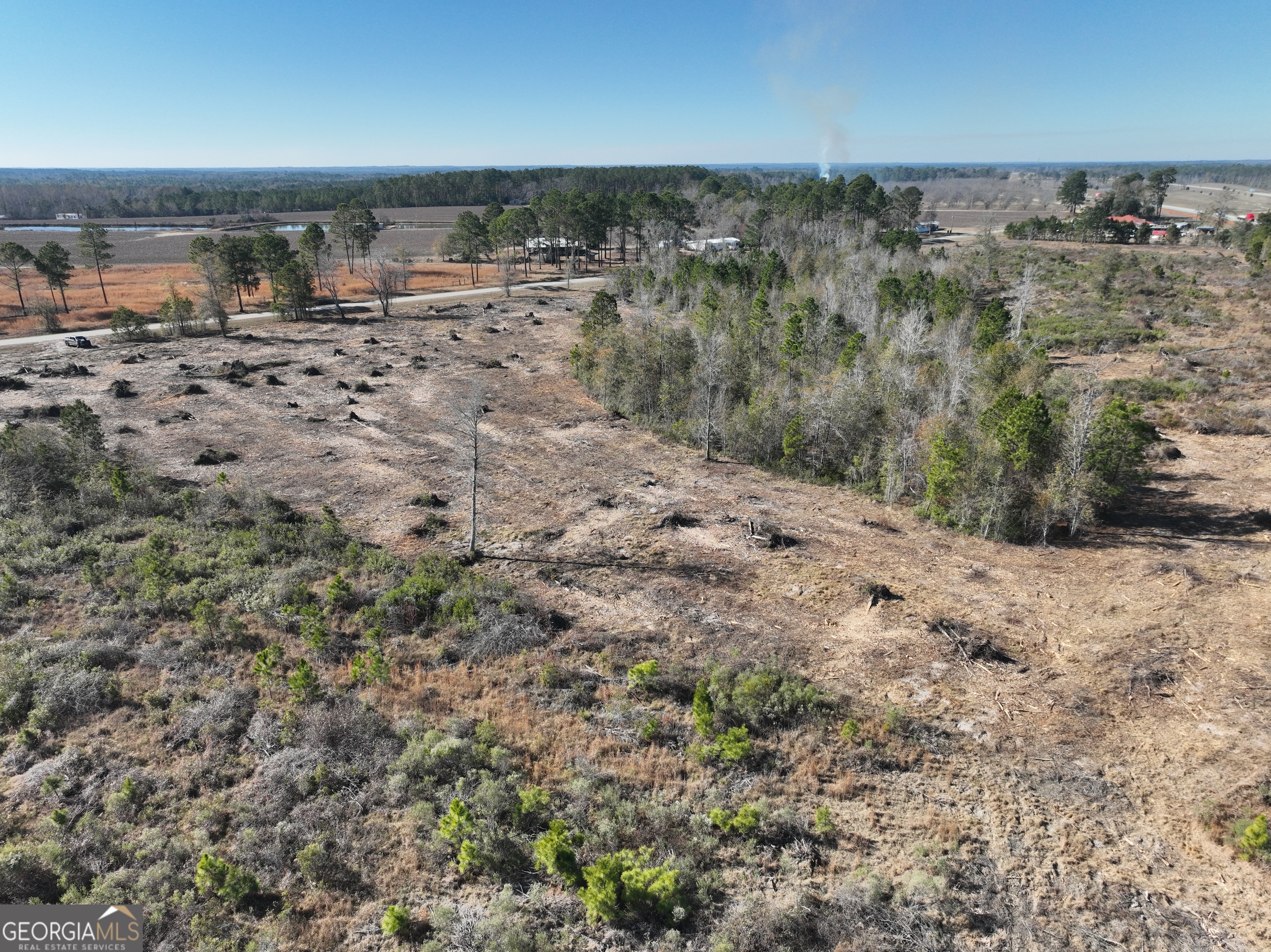 0 Cool Springs Church Road Metter, GA 30439 - Photo 12 of 21