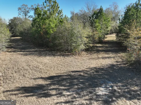 $256,000 | 0 Cool Springs Church Road, Metter, GA 30439