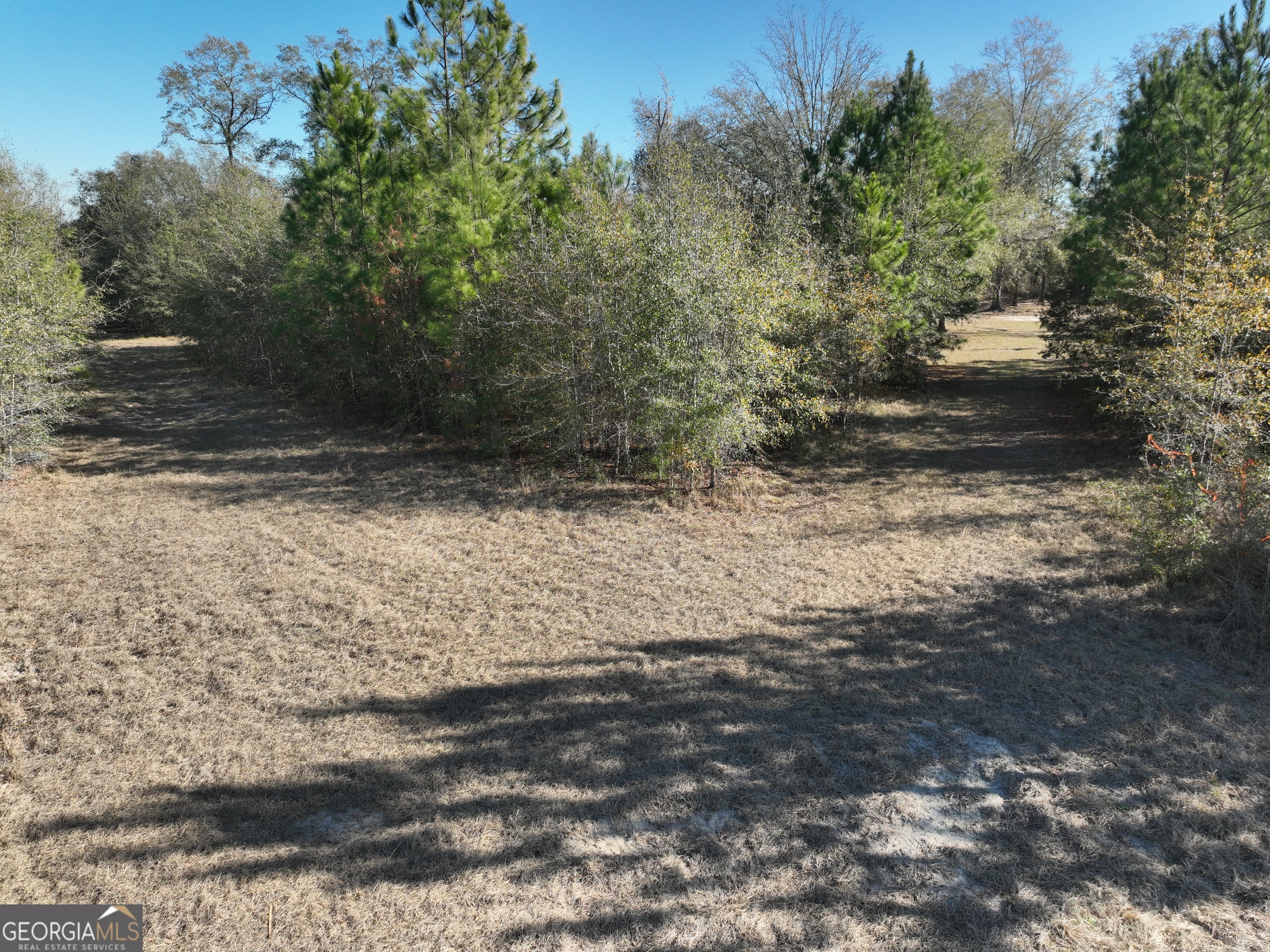 0 Cool Springs Church Road Metter, GA 30439 - Photo 15 of 21