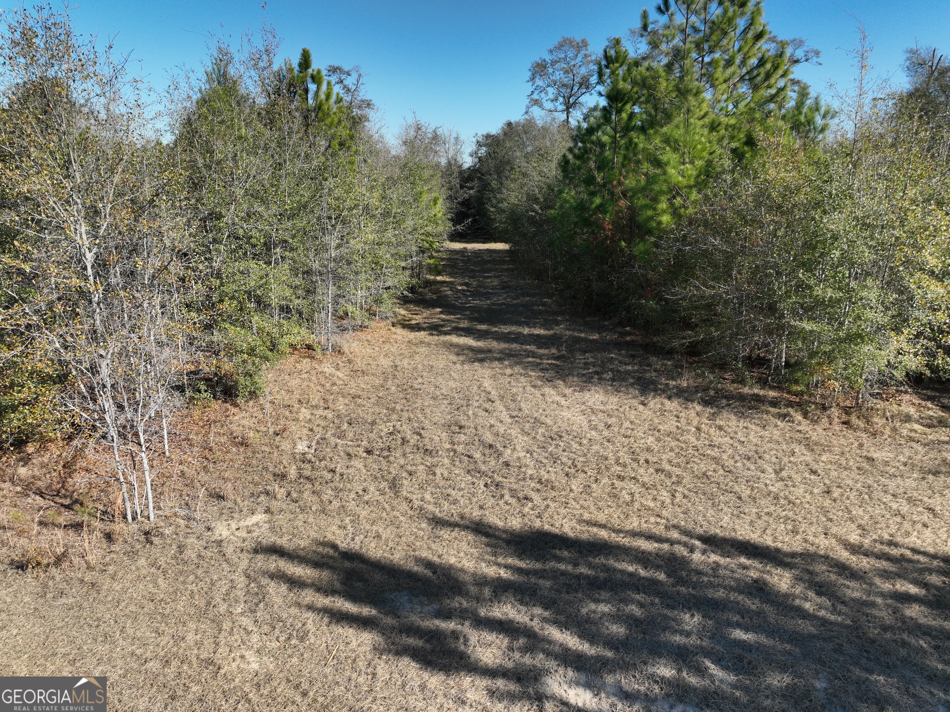 0 Cool Springs Church Road Metter, GA 30439 - Photo 16 of 21