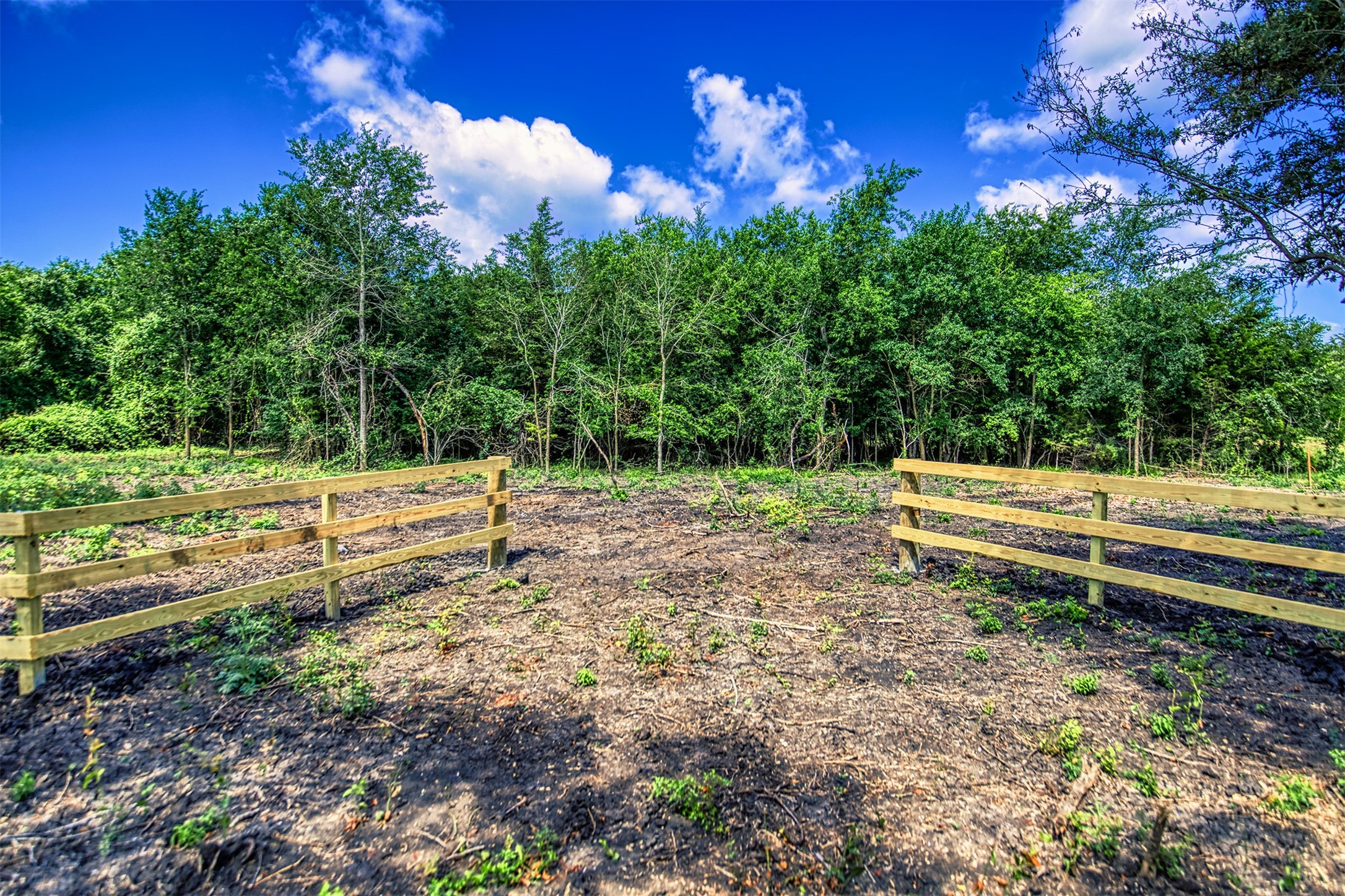 Lot 9 Wonder Hill Road Chappell Hill, TX 77426 - Photo 4 of 15 a view of a bench in a yard