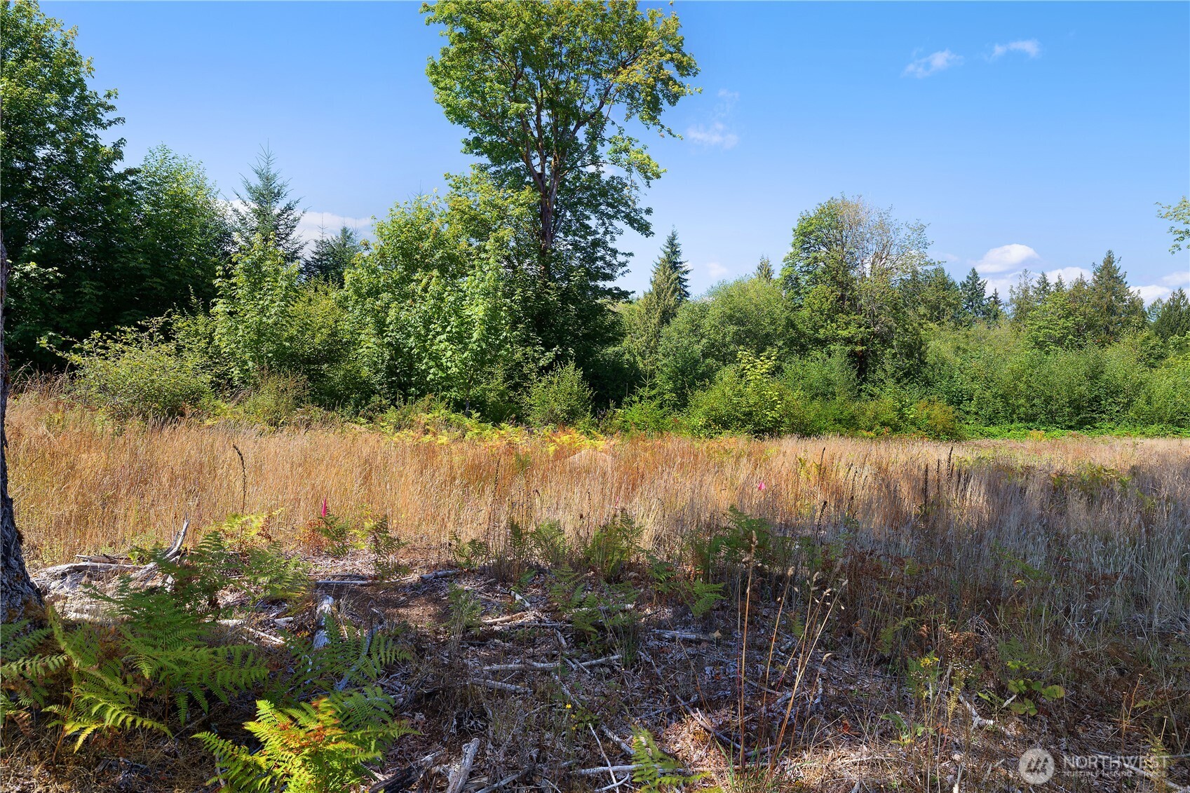 120 East Old Farm Road Shelton, WA 98584 - Photo 11 of 25