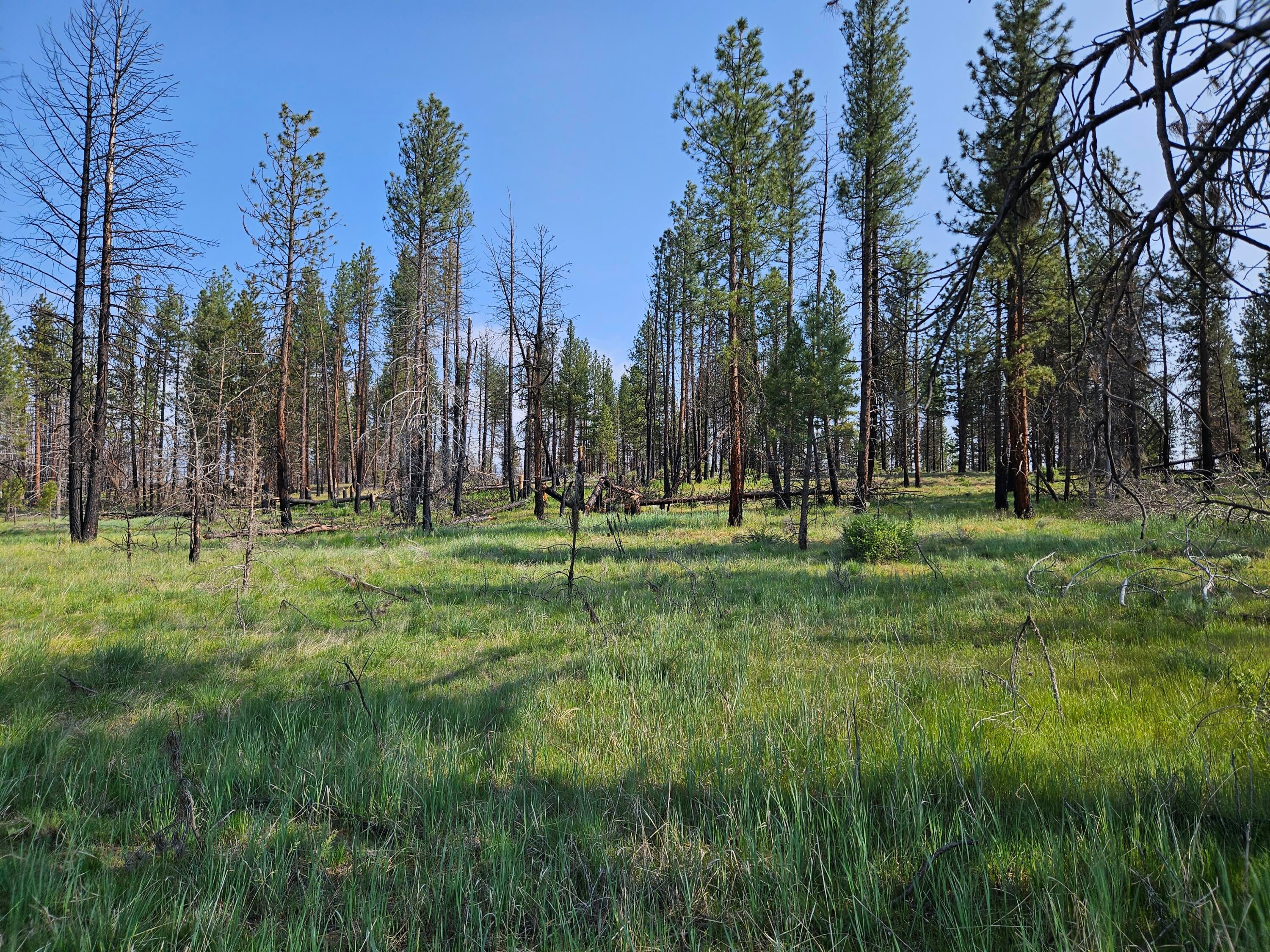 8 Parazoo Trail Bly, OR 97622 - Photo 13 of 27 20250601_165309