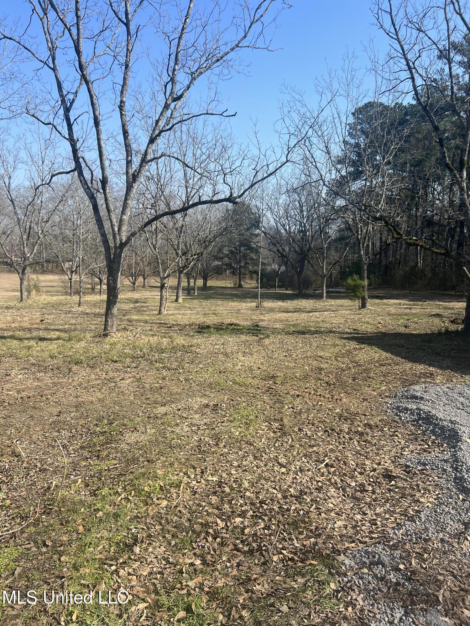 110 Trickhambridge Cove Brandon, MS 39042 - Photo 3 of 36 IMG_4961