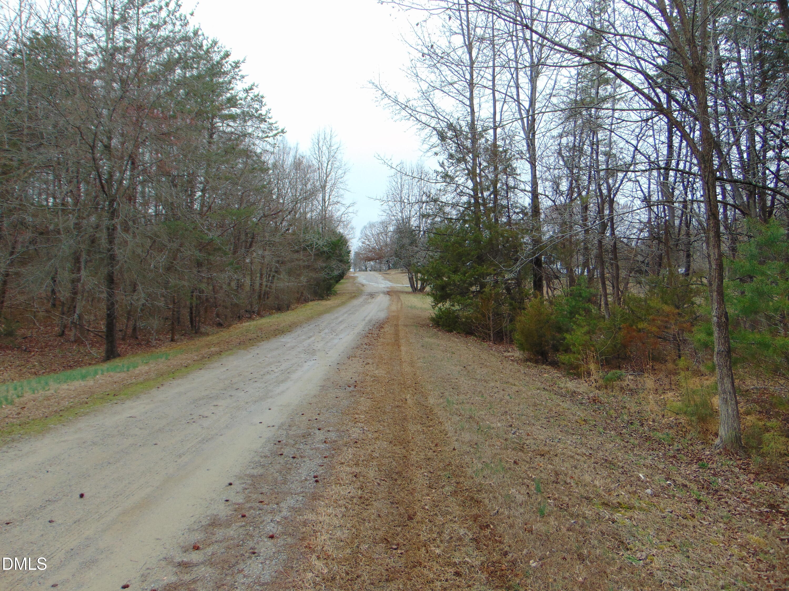 0 Fowlkes Road Pelham, NC 27311 - Photo 2 of 16 DSC01434