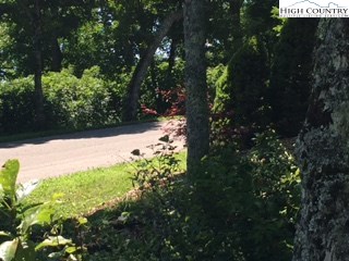 Lot 2 Crown Point Road West Jefferson, NC 28694 - Photo 12 of 20 Gallery Image 12
