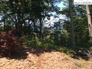 Lot 2 Crown Point Road West Jefferson, NC 28694 - Photo 13 of 20 Gallery Image 13