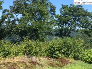 Lot 2 Crown Point Road West Jefferson, NC 28694 - Photo 14 of 20 Gallery Image 14