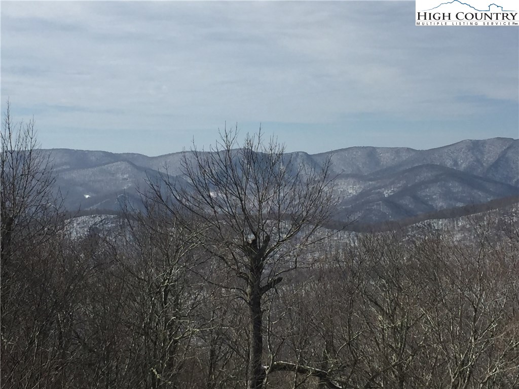 Lot 2 Crown Point Road West Jefferson, NC 28694 - Photo 19 of 20 Gallery Image 19
